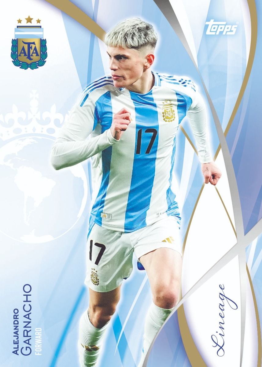 Argentina Lineage 2024 Box