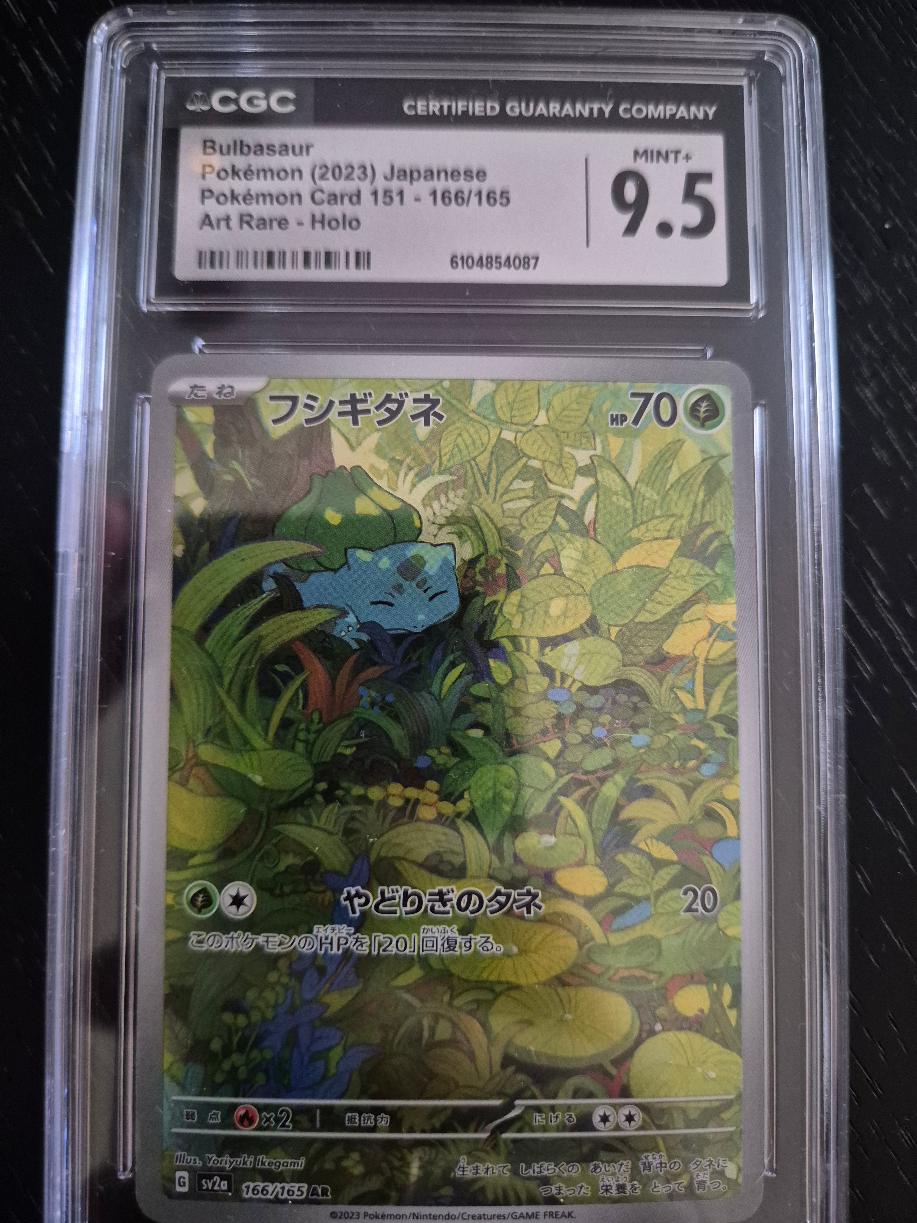 Poke Glen Slab Bag Silver